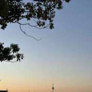 ヒメ日記 2025/12/29 23:02 投稿 きょう 宇都宮発～正統派清楚系デリヘル！ CHERIMO（シェリモ）