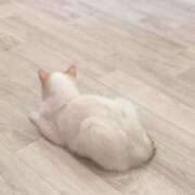 ヒメ日記 2026/01/11 16:32 投稿 きょう 宇都宮発～正統派清楚系デリヘル！ CHERIMO（シェリモ）