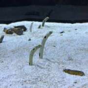 ヒメ日記 2026/01/21 17:32 投稿 きょう 宇都宮発～正統派清楚系デリヘル！ CHERIMO（シェリモ）