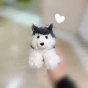 きょう いかがお過ごしでしょうか 宇都宮発～正統派清楚系デリヘル！ CHERIMO（シェリモ）