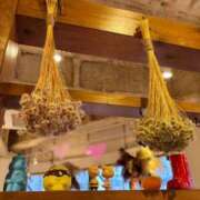 ヒメ日記 2026/03/06 11:32 投稿 きょう 宇都宮発～正統派清楚系デリヘル！ CHERIMO（シェリモ）