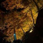 ヒメ日記 2025/11/29 15:46 投稿 のあ【プレミアム】 大人のゴシャール