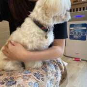 ヒメ日記 2025/11/03 15:20 投稿 いおり ワレメ舐められ学院 秋葉原校