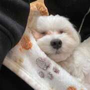 ヒメ日記 2025/11/04 17:50 投稿 いおり ワレメ舐められ学院 秋葉原校