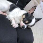 ヒメ日記 2025/11/09 17:50 投稿 いおり ワレメ舐められ学院 秋葉原校