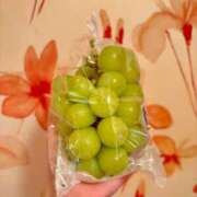 ヒメ日記 2025/10/25 16:46 投稿 ルイ マテリアル