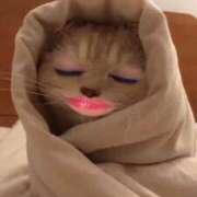 ヒメ日記 2025/10/06 00:21 投稿 まりあ 美女のカタチ