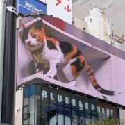 ヒメ日記 2025/10/27 11:50 投稿 あすか 完熟ばなな 上野店