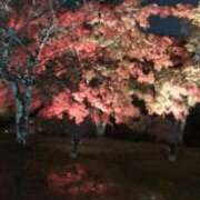 ヒメ日記 2025/11/22 19:14 投稿 あすか 完熟ばなな 上野店