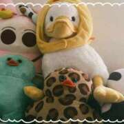 ヒメ日記 2025/11/14 11:46 投稿 渚　ましろ メイドin西川口（埼玉ハレ系）