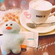 ヒメ日記 2025/12/07 13:05 投稿 渚　ましろ メイドin西川口（埼玉ハレ系）