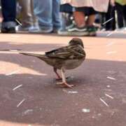 ヒメ日記 2025/12/20 11:44 投稿 渚　ましろ メイドin西川口（埼玉ハレ系）