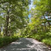 渚　ましろ 🌳🌲 メイドin西川口（埼玉ハレ系）