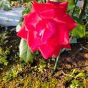 ヒメ日記 2025/10/28 17:03 投稿 目黒 さら こあくまな熟女たち 千葉店（KOAKUMAグループ）