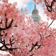 ヒメ日記 2026/03/13 14:35 投稿 ふみの ぽっちゃり巨乳専門木更津君津ちゃんこin千葉