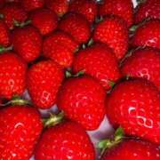 ヒメ日記 2026/03/29 09:15 投稿 ふみの ぽっちゃり巨乳専門木更津君津ちゃんこin千葉