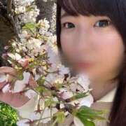 ヒメ日記 2026/04/03 08:15 投稿 ふみの ぽっちゃり巨乳専門木更津君津ちゃんこin千葉