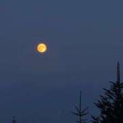 ヒメ日記 2025/09/25 23:31 投稿 まお CECIL