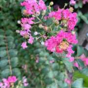 ヒメ日記 2025/10/10 16:25 投稿 まお CECIL