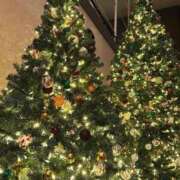 ヒメ日記 2025/12/21 12:04 投稿 まお CECIL