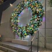 ヒメ日記 2025/12/22 06:00 投稿 まお CECIL