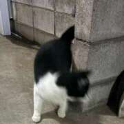 ヒメ日記 2025/10/17 08:00 投稿 すみ ワンダーホール24in幕張