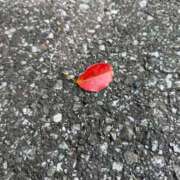 ヒメ日記 2025/10/18 19:16 投稿 すみ ワンダーホール24in幕張