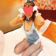 ヒメ日記 2025/11/11 08:00 投稿 すみ ワンダーホール24in幕張