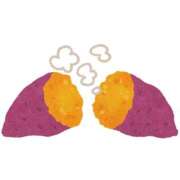 ヒメ日記 2025/11/13 08:01 投稿 すみ ワンダーホール24in幕張