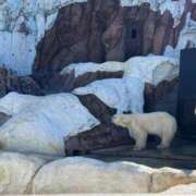 ヒメ日記 2025/09/20 06:15 投稿 すみ ワンダーホール24