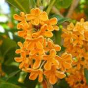 ヒメ日記 2025/10/21 08:01 投稿 すみ ワンダーホール24