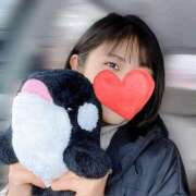 ヒメ日記 2025/12/29 08:00 投稿 すみ ワンダーホール24