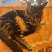 ヒメ日記 2025/10/09 00:23 投稿 今泉ひとみ★ elumo(エルモ)