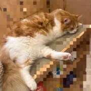 ヒメ日記 2025/10/09 16:05 投稿 今泉ひとみ★ elumo(エルモ)