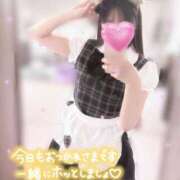 ヒメ日記 2025/10/27 17:06 投稿 今泉ひとみ★ elumo(エルモ)