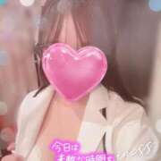 ヒメ日記 2025/11/18 21:10 投稿 今泉ひとみ★ elumo(エルモ)