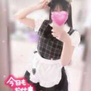 ヒメ日記 2025/11/25 13:03 投稿 今泉ひとみ★ elumo(エルモ)