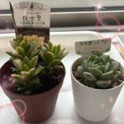 ヒメ日記 2025/10/17 07:00 投稿 まい モアグループ宇都宮人妻花壇