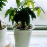 ヒメ日記 2025/10/22 11:00 投稿 まい モアグループ宇都宮人妻花壇