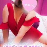 ヒメ日記 2025/10/31 15:00 投稿 まい モアグループ宇都宮人妻花壇