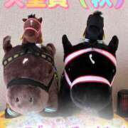 ヒメ日記 2025/11/02 11:02 投稿 まい モアグループ宇都宮人妻花壇