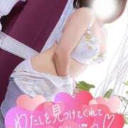 ヒメ日記 2025/11/03 09:50 投稿 まい モアグループ宇都宮人妻花壇