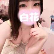 ヒメ日記 2025/09/29 15:07 投稿 百衣 白花 Canx2京都店