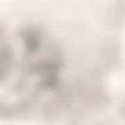 ヒメ日記 2025/12/20 01:37 投稿 あむ ミルキーラテ