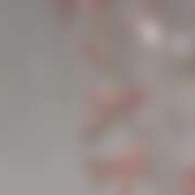 ヒメ日記 2026/03/15 12:12 投稿 あむ ミルキーラテ