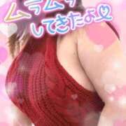 ヒメ日記 2026/03/10 14:35 投稿 ねね 小岩ちゃんこ