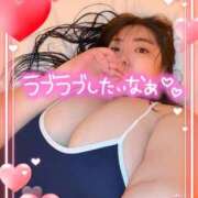 ヒメ日記 2026/04/03 16:45 投稿 ねね 小岩ちゃんこ