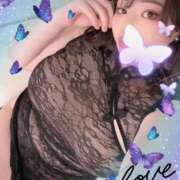 ヒメ日記 2026/04/07 15:25 投稿 ねね 小岩ちゃんこ