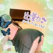 ヒメ日記 2026/05/06 12:35 投稿 ねね 小岩ちゃんこ
