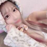 ヒメ日記 2025/09/23 06:12 投稿 こい ホワイトベル